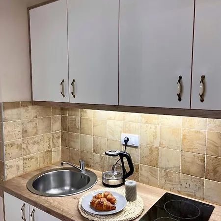 Borski Luxury Apartment