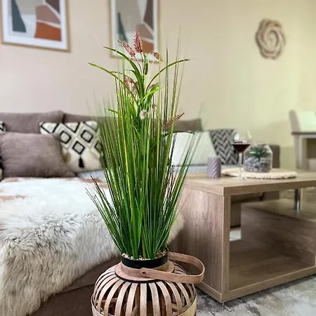 Borski Luxury Apartment Zlatibor
