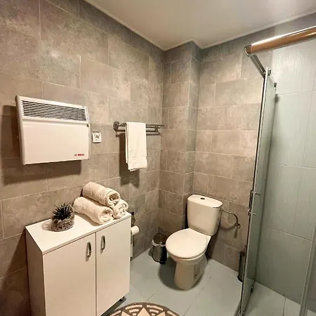 Borski Luxury Apartament *