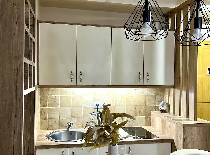 Apartment Borski Luxury