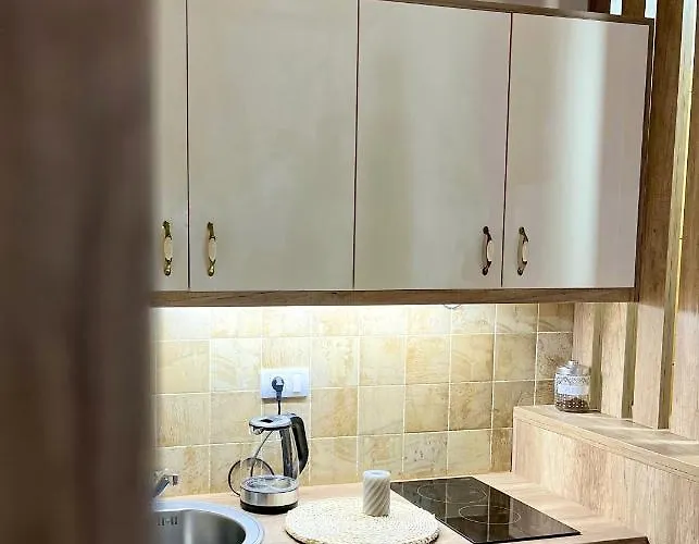 Apartment Borski Luxury Zlatibor