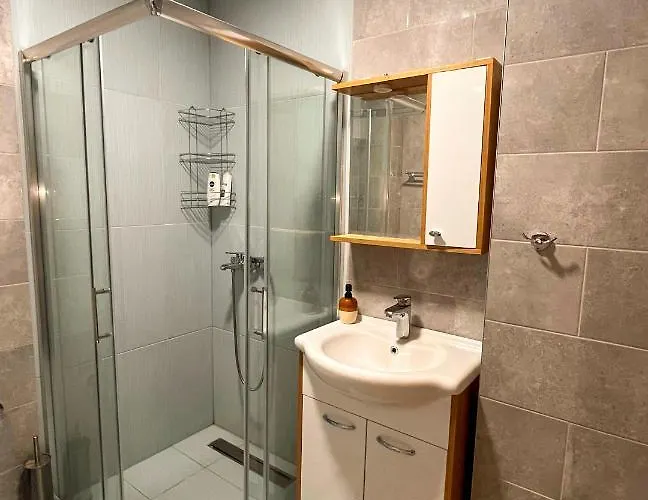 Borski Luxury Apartment Zlatibor