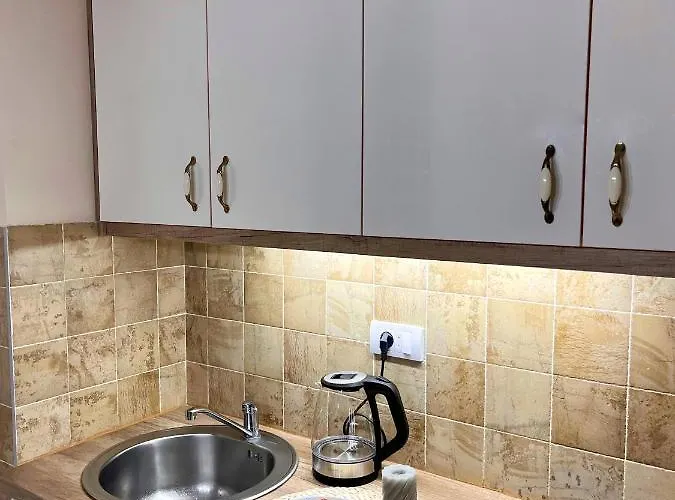 Borski Luxury Apartment