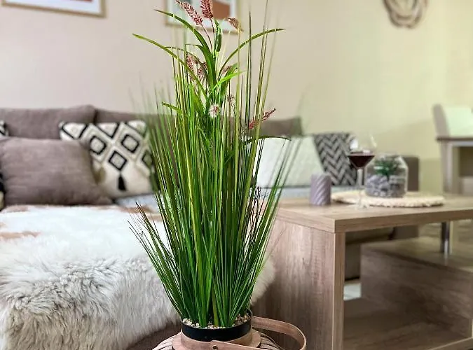 Borski Luxury Apartment Zlatibor