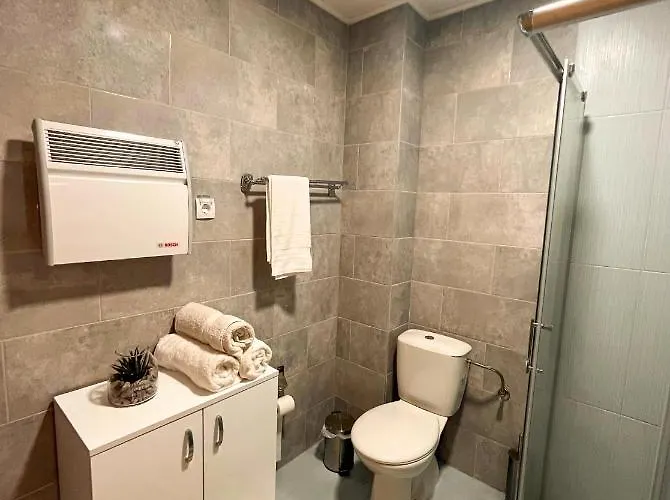 Borski Luxury Apartment *