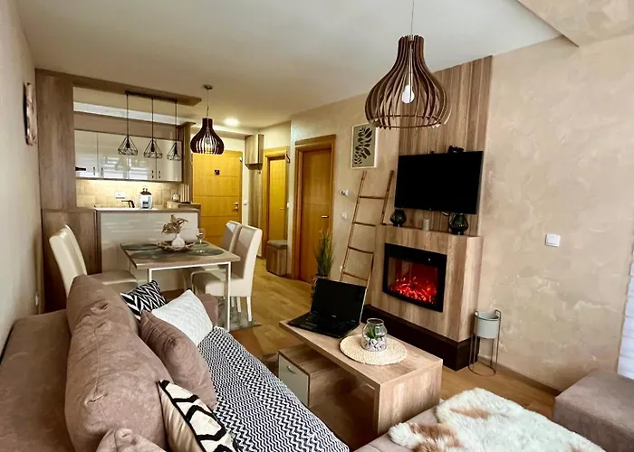 Borski Luxury Apartment *